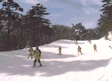 学生団体スキーレッスン風景3、迂回コースを滑る
