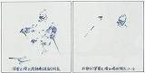 磐梯ひじかたSS '79パンフ イラスト
